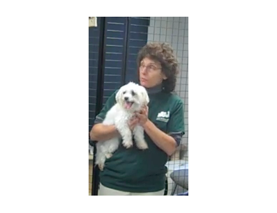 buddy humane society non profit buddy humane society jchoice org buddy humane society non profit buddy humane society jchoice org