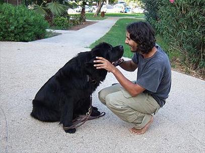 HAMA (Israel) Humans and Animals in Mutual Assistance