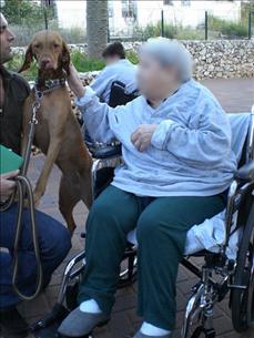 HAMA (Israel) Humans and Animals in Mutual Assistance