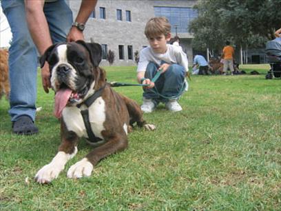 HAMA (Israel) Humans and Animals in Mutual Assistance