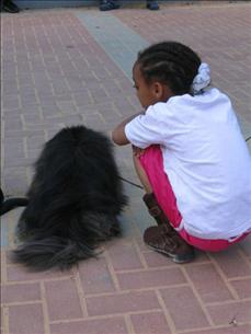 HAMA (Israel) Humans and Animals in Mutual Assistance