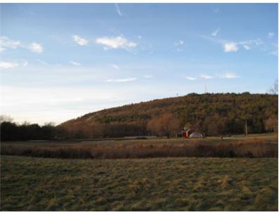 Friends of the Blue Hills