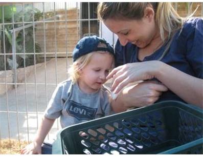 American Committee for the Tel Aviv Foundation