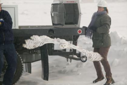 Birds of Prey Foundation
