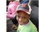 Favorite Cause of JChoice.org Members